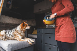 Ruffwear Basecamp Bowl