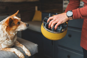Ruffwear Basecamp Bowl
