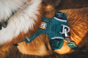 Ruffwear Front Range® Flex Harness