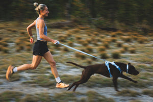 Ruffwear Front Range® Flex Harness