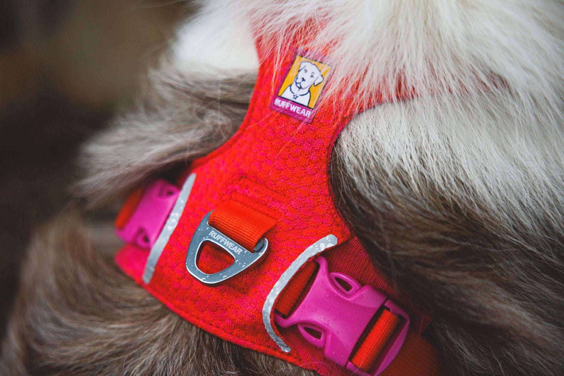 Ruffwear Front Range® Flex Harness | Canada - See SAWYER Run