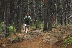 Ruffwear Front Range® Flex Harness