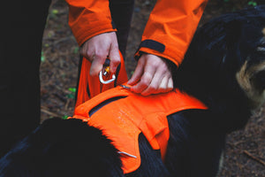 Ruffwear Rogue™ Long Line