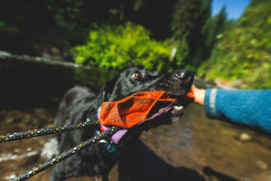 Ruffwear Webbing Remix™ Cactus Tug Toy