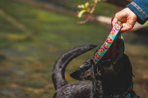 Ruffwear Remix™ Soft Flying Disc