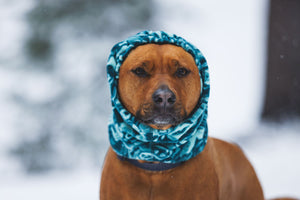 Ruffwear Mt. Hoodie™ Warming Neck Gaiter