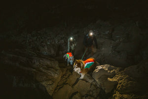 Ruffwear Lumenglow High-Vis Jacket - Final Sale