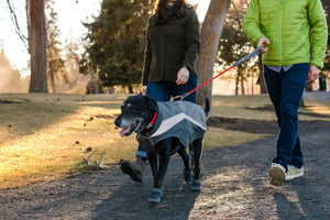 Ruffwear Lumenglow High-Vis Jacket - Final Sale