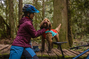 Ruffwear Lumenglow High-Vis Jacket - Final Sale
