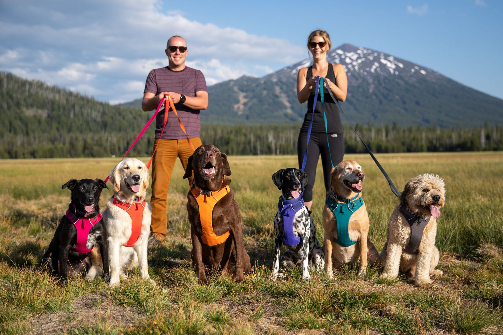 See SAWYER Run Adventure Gear for Dogs