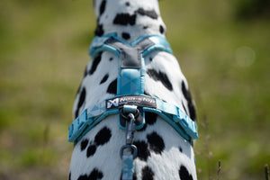 Non-Stop Dogwear Trekking Line Harness CLIP'N™