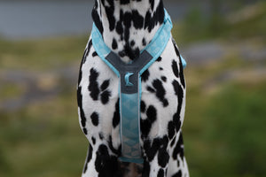 Non-Stop Dogwear Trekking Line Harness CLIP'N™