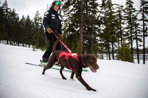 Ruffwear Patroller Leash - Final Sale*