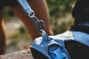 Ruffwear Front Range™ Flex Leash