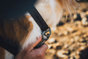 Ruffwear Ridgeline™ Collar