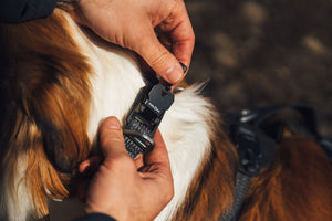 Ruffwear Ridgeline™ Collar