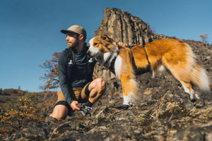 Ruffwear Ridgeline™ Harness