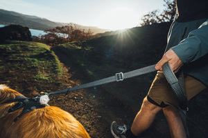 Ruffwear Ridgeline™ Dog Leash