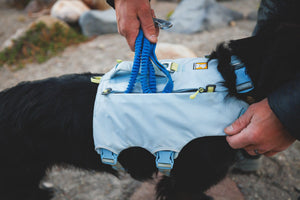 Ruffwear Palisades™ Pack