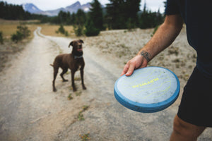 Ruffwear Camp Flyer Flying Disc