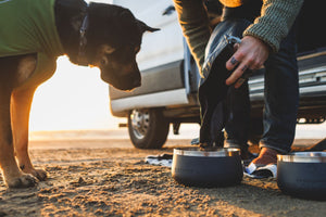 Ruffwear Kibble Kaddie™ Dog Food Carrier