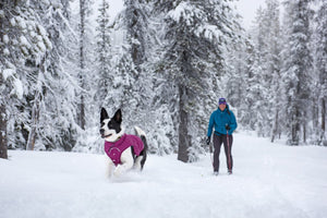 Ruffwear Quinzee Jacket - Final Sale*