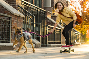 Ruffwear Commuter Pack