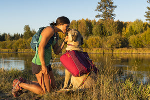 Ruffwear Commuter Pack