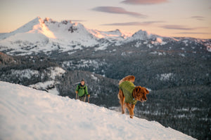 Ruffwear Powder Hound Jacket - Final Sale*