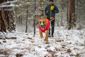 Ruffwear Vert Jacket - Final Sale*