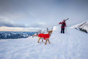 Ruffwear Vert Jacket - Final Sale*