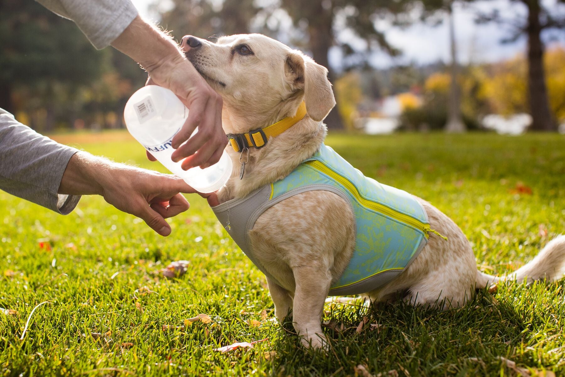 Ruffwear Swamp Cooler Zip Vest | Canada - See SAWYER Run