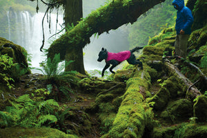 Ruffwear Sun Shower Rain Jacket - Final Sale*