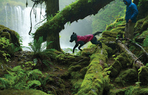 Ruffwear Sun Shower Rain Jacket - Final Sale*