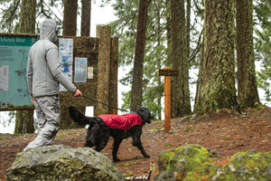 Ruffwear Sun Shower Rain Jacket - Final Sale*