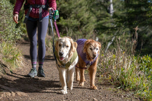 Ruffwear Overcoat Fuse Jacket - Final Sale*