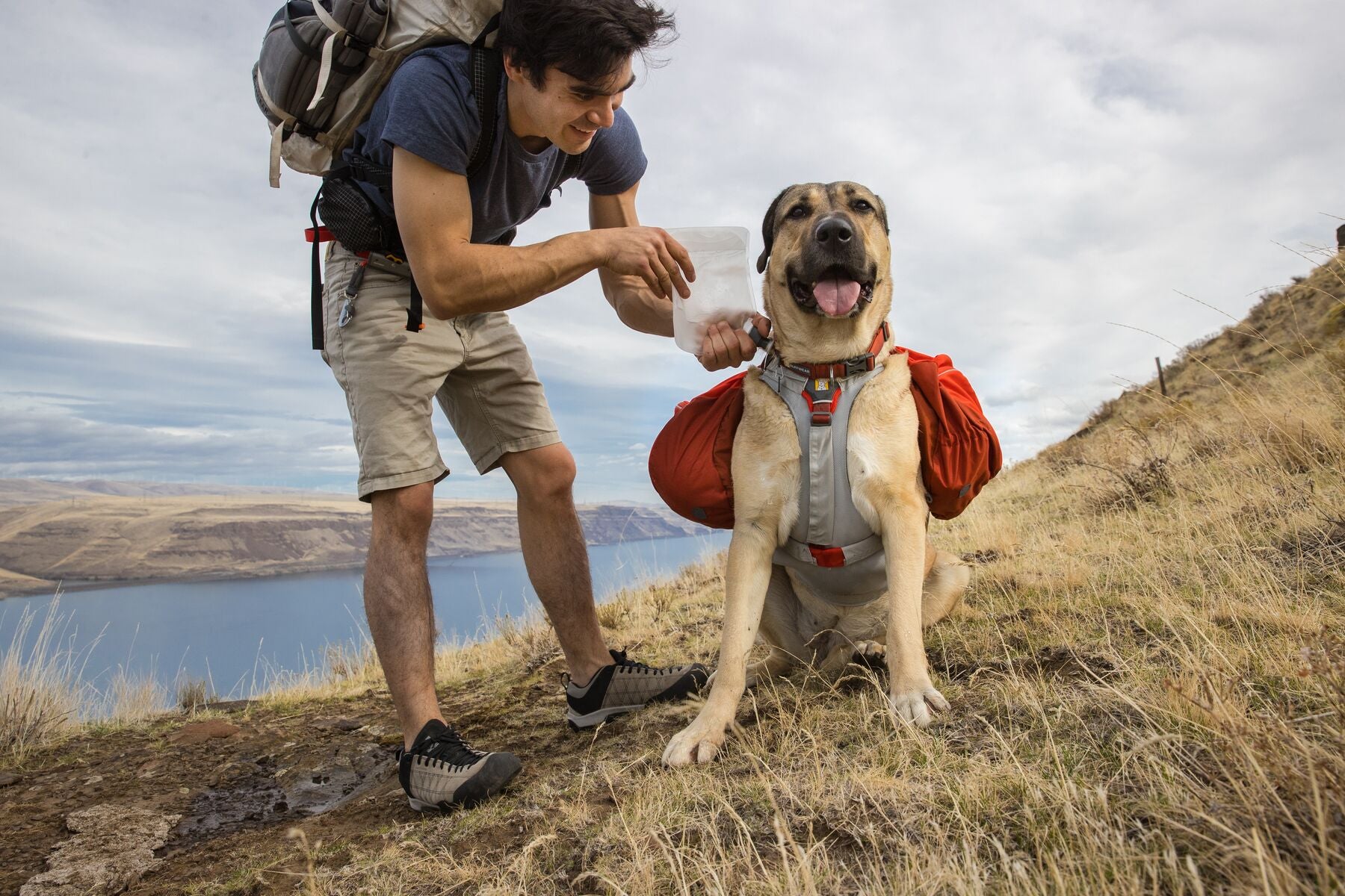Dog hydration pack top