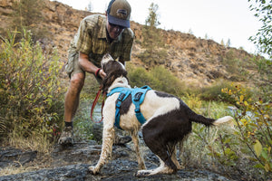 Ruffwear Web Master Harness - Final Sale*