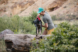 Ruffwear Web Master Harness - Final Sale*